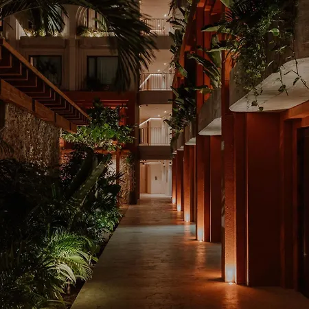 Osh Hotel Cartagena